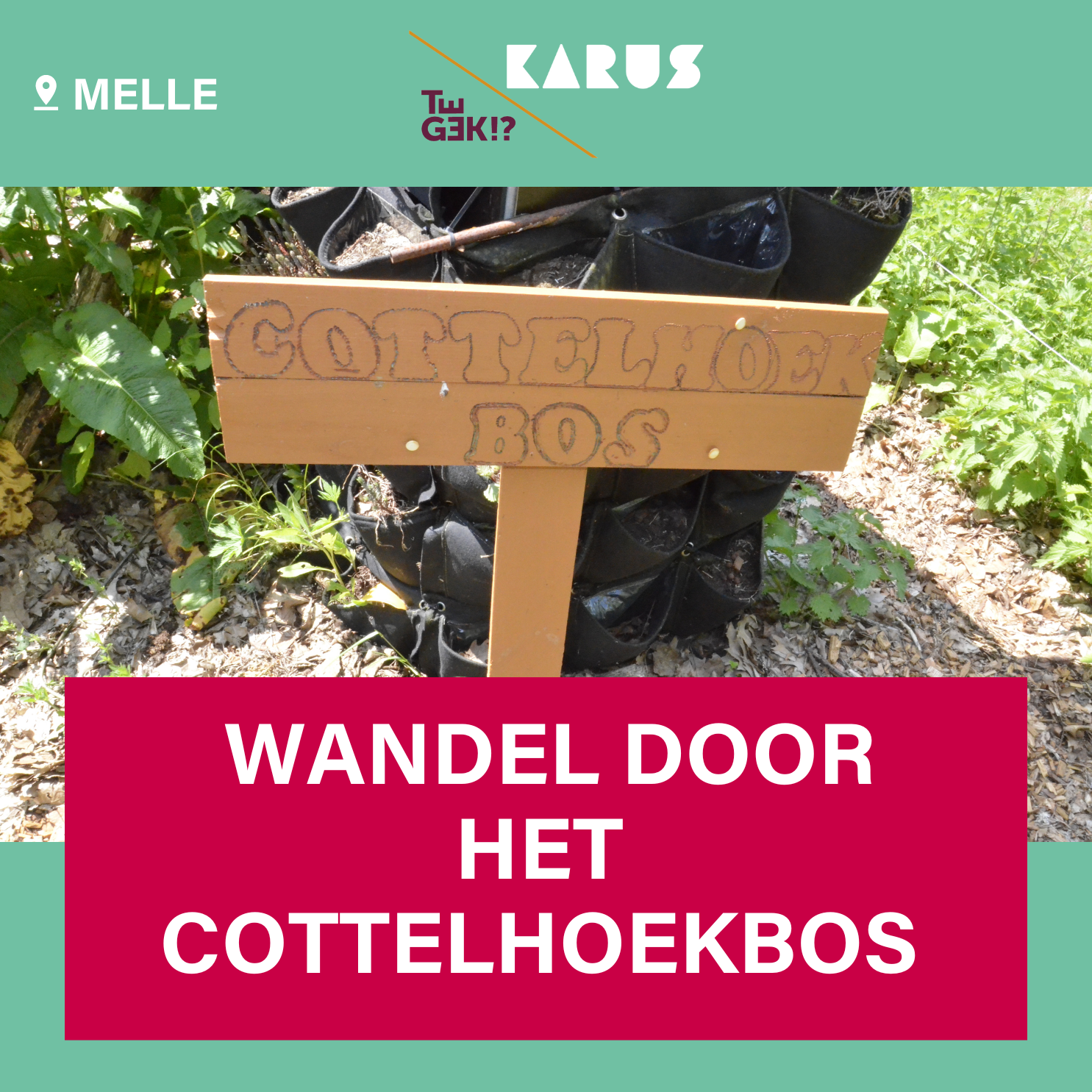 mellecottelhoekbos.png