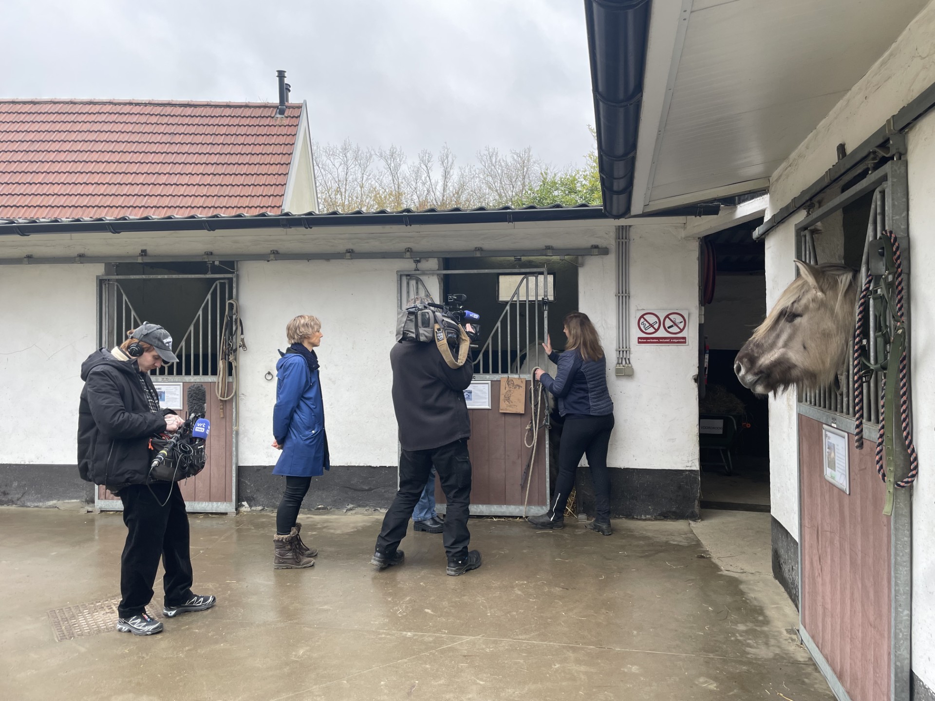 Hippotherapie in Journaal Laat